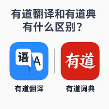 为什么有道翻译在2026年增加了“唇语合成视频”?