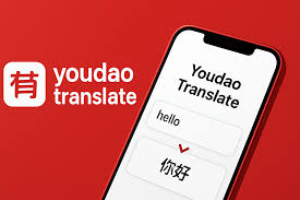 2026年有道翻译网页版支持语音对话模式吗？