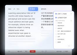 为什么有道翻译是2026年国际人道主义援助的工具？